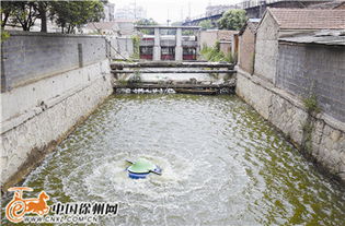 清水繞城，生態煥新 我市探索治理黑臭河道新路徑